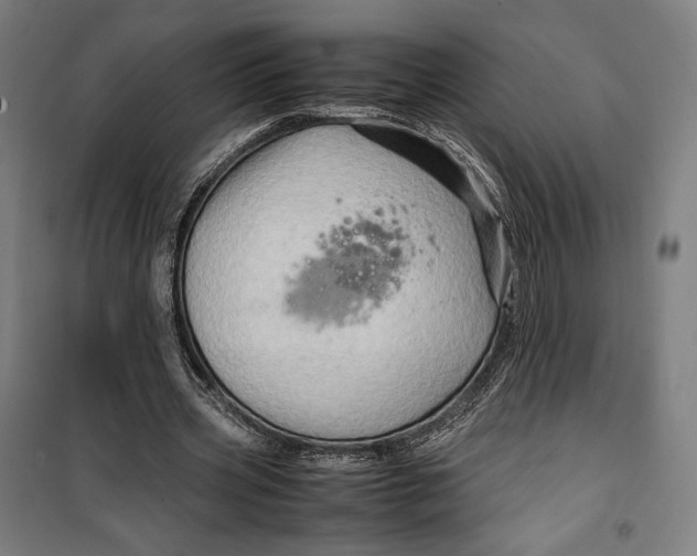 X0000099530533200806061434