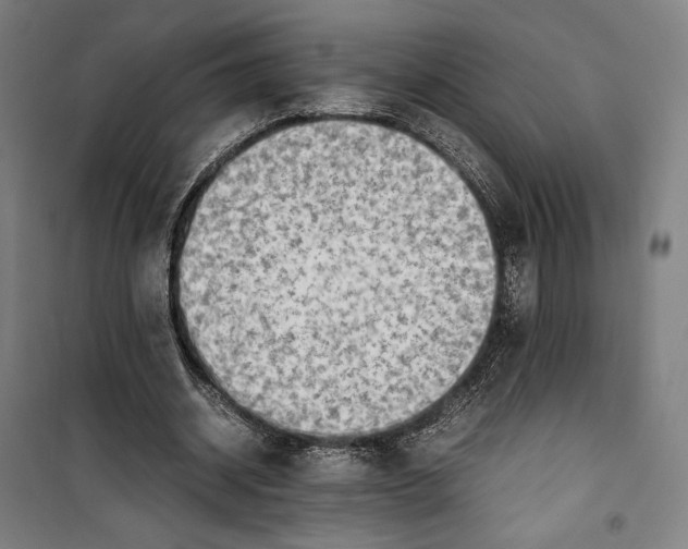 X0000099530534200806061434