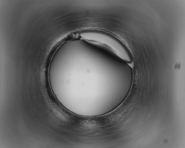 X0000099530535200806061434