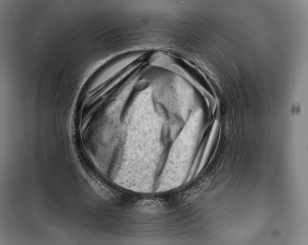 X0000099530536200806061434