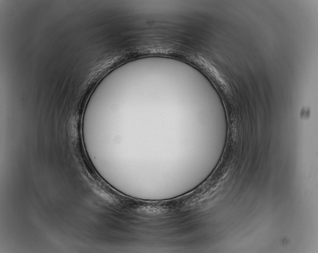 X0000099530537200806061434