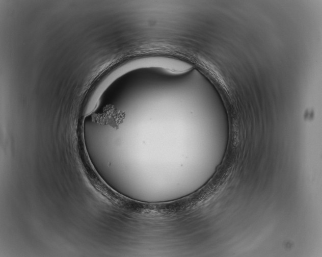 X0000099530538200806061434