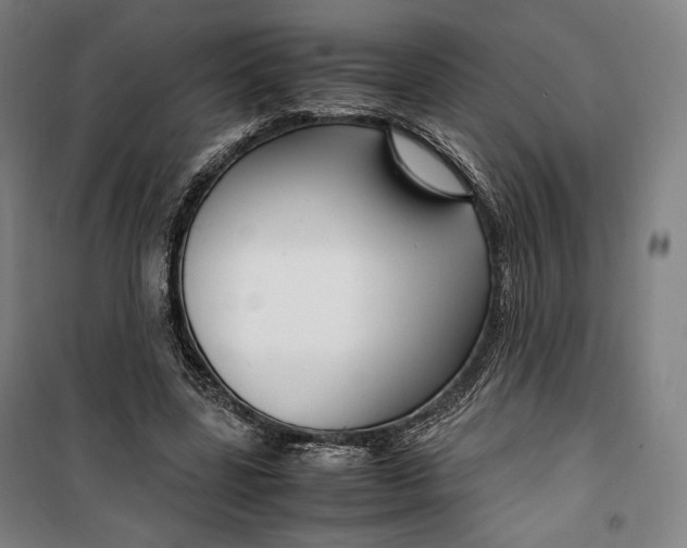 X0000099530539200806061434