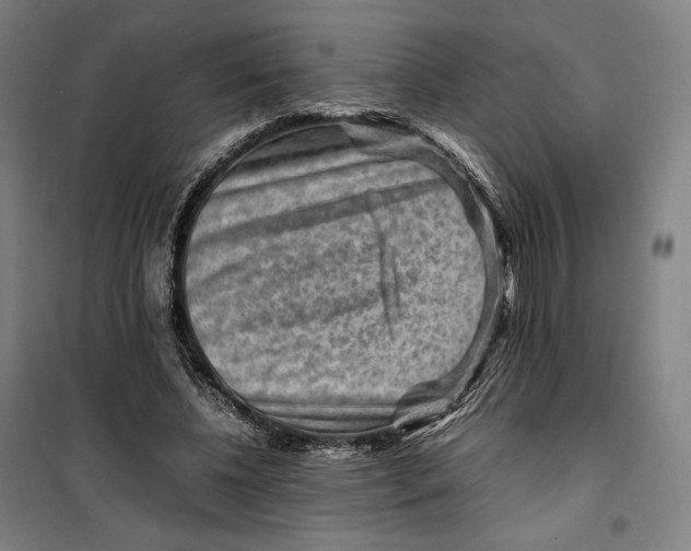 X0000099530540200806061434