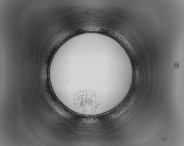 X0000099530541200806061434