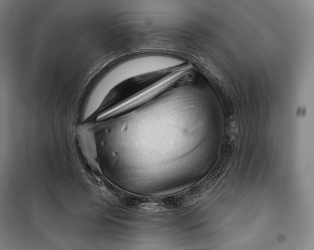 X0000099530544200806061434