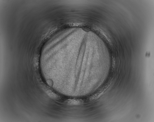 X0000099530545200806061434