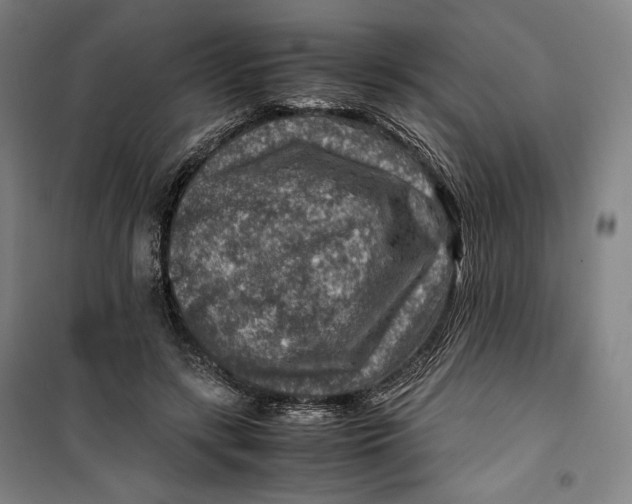 X0000099530547200806061434