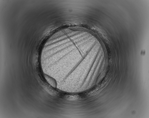 X0000099530548200806061434