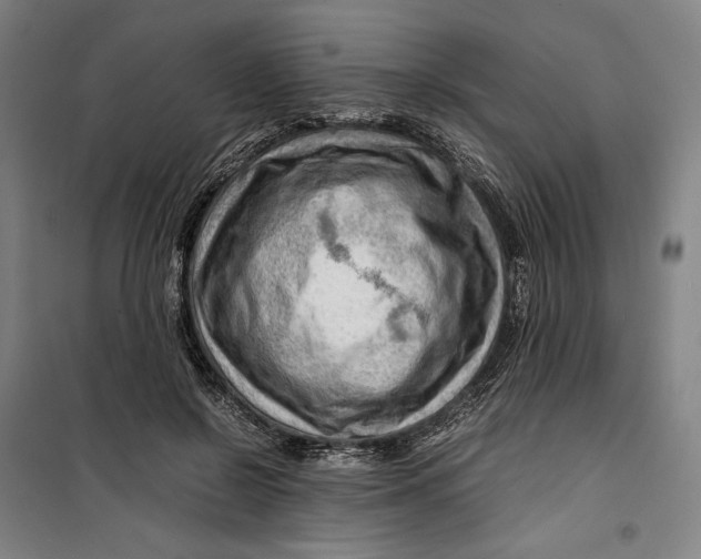 X0000099530550200806061434