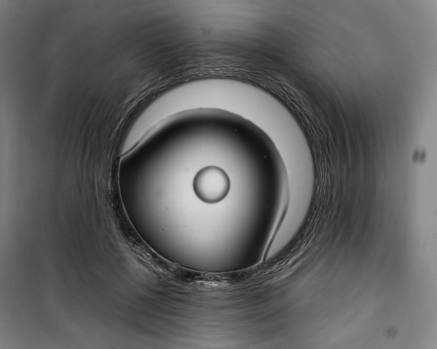 X0000099530552200806061434