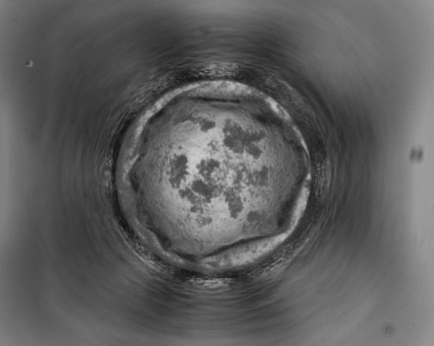 X0000099530553200806061434