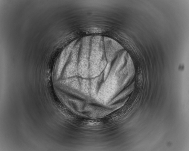 X0000099530555200806061434