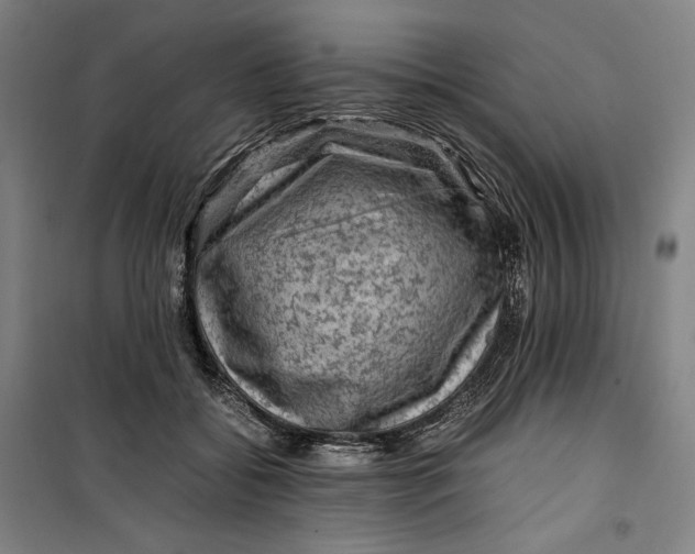 X0000099530556200806061434