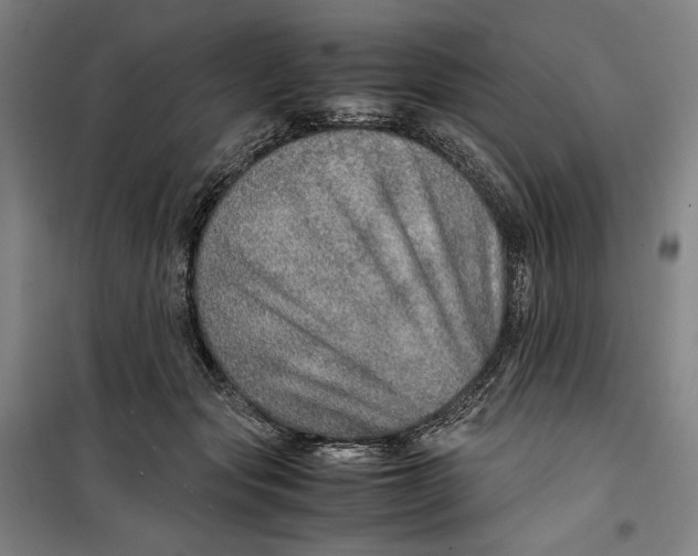 X0000099530557200806061434