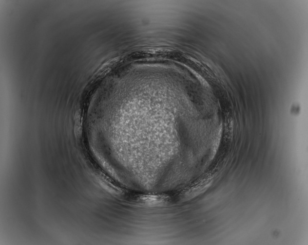 X0000099530558200806061434