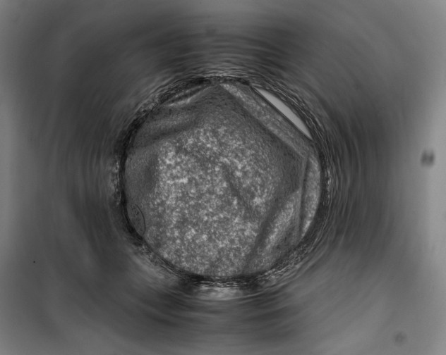 X0000099530559200806061434