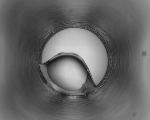 X0000099530560200806061434