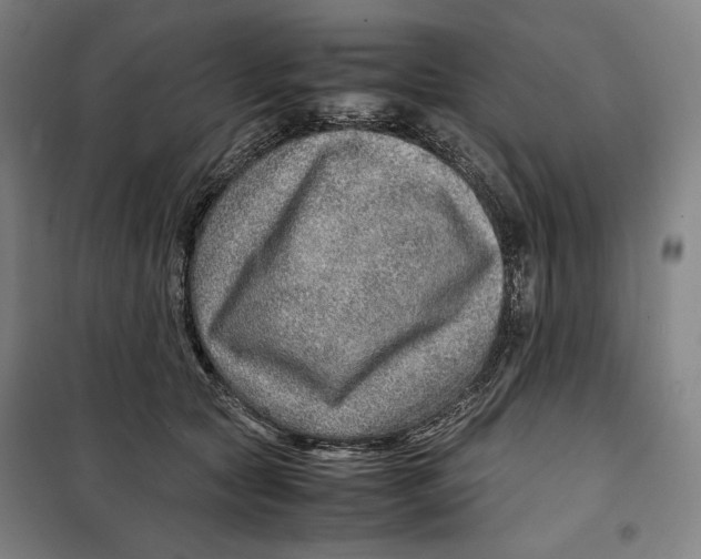 X0000099530561200806061434