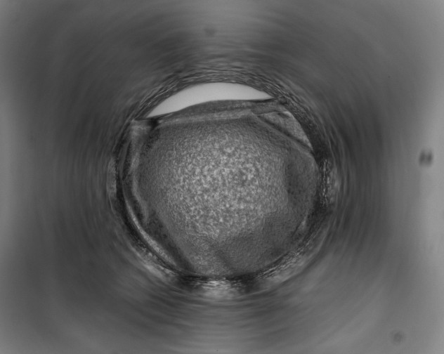 X0000099530562200806061434