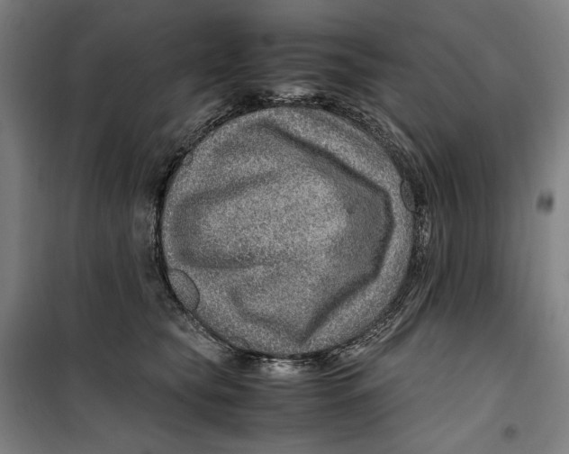 X0000099530565200806061434