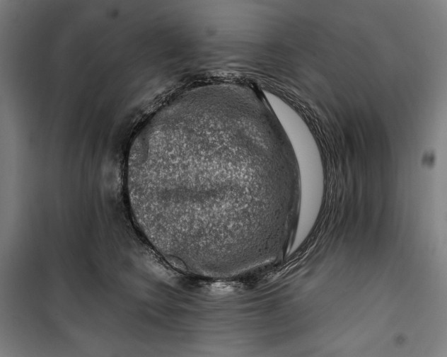 X0000099530566200806061434