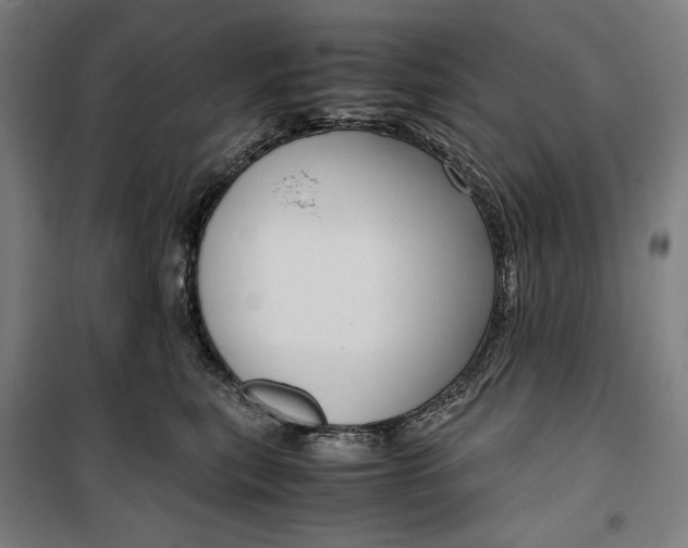 X0000099530567200806061434