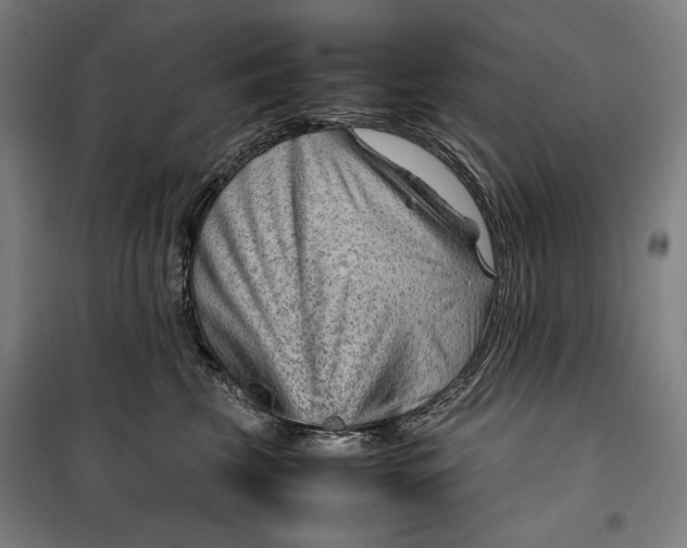 X0000099530569200806061434