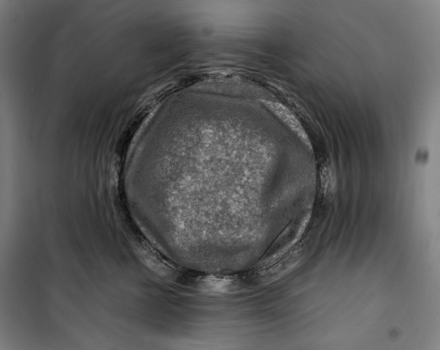 X0000099530570200806061434