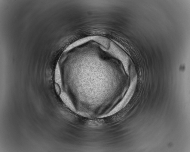 X0000099530571200806061434