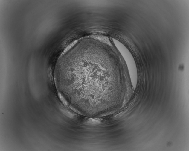 X0000099530573200806061434