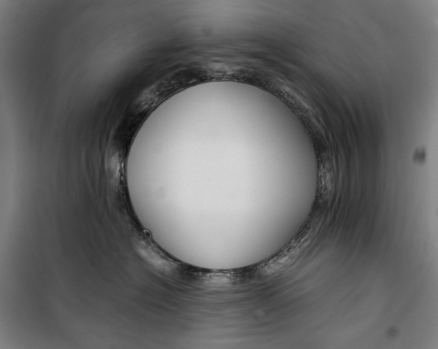 X0000099530574200806061434