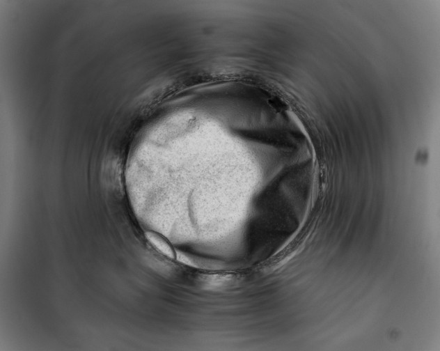 X0000099530575200806061434