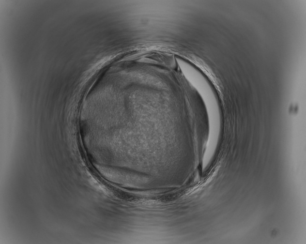 X0000099530577200806061434