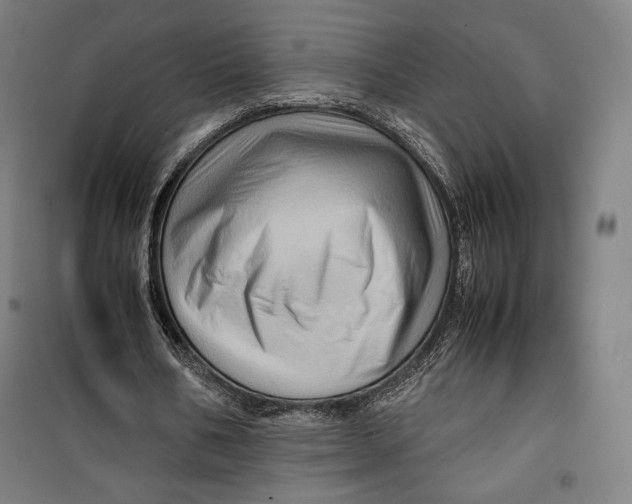 X0000099530578200806061434