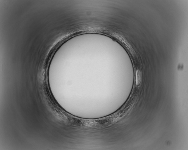 X0000099530579200806061434