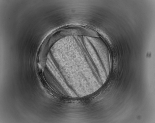 X0000099530580200806061434