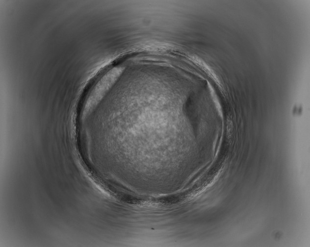 X0000099530581200806061434