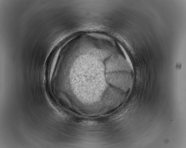 X0000099530582200806061434