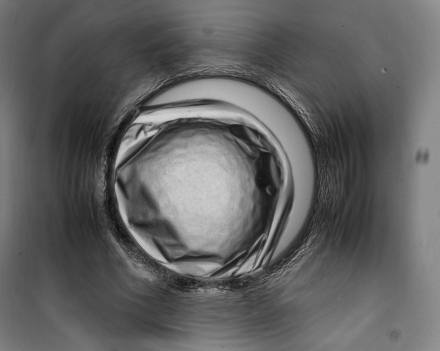 X0000099530586200806061433