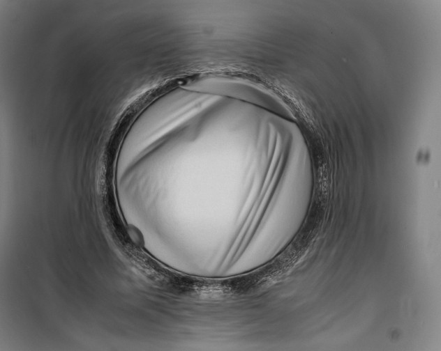 X0000099530587200806061433