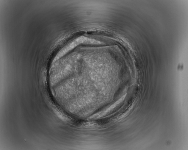 X0000099530589200806061433