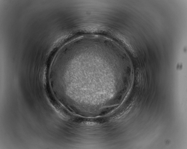 X0000099530590200806061433