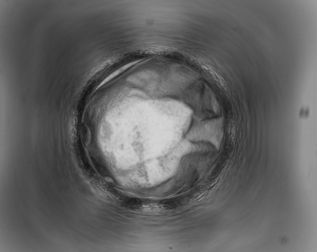 X0000099530591200806061433