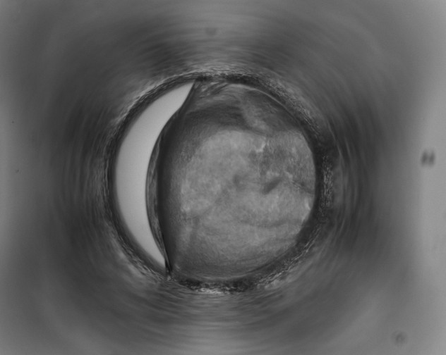 X0000099530592200806061433