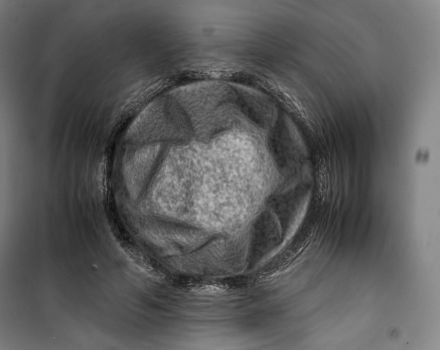 X0000099530594200806061433