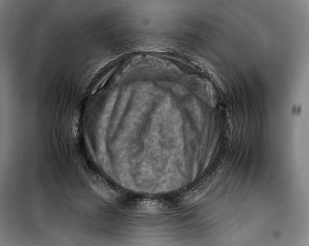 X0000099530596200806061433