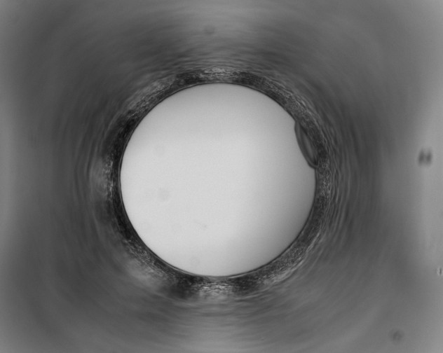 X0000099530599200806061433