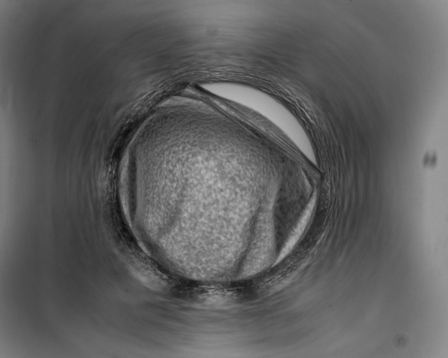 X0000099530601200806061433