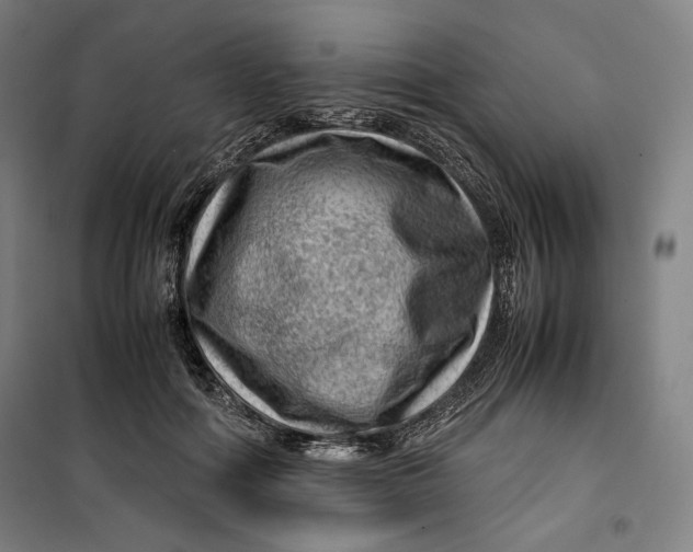 X0000099530602200806061433